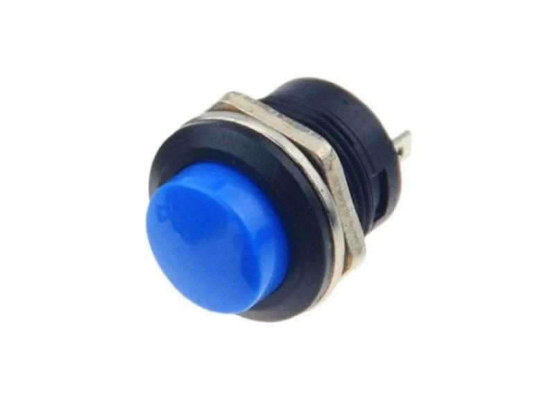 Momentary Blue Push Reset Button Switch Panel Mount 2 Pin 3Amp 16mm Dia Panel Hole with metal body (Pack Of 2)