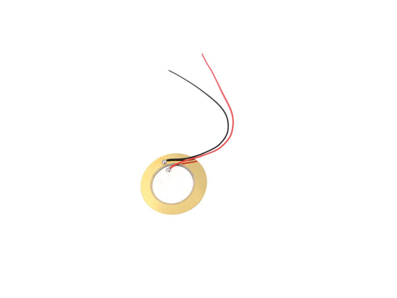Piezo Buzzer 50mm with Cable