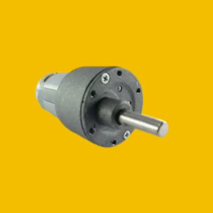 Johnson Geared Motor