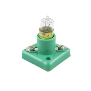 Torch Bulb with Holder