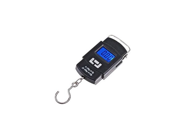 WH-A08 10G-50Kg Portable Electronic Scale With LCD Display and Backlight