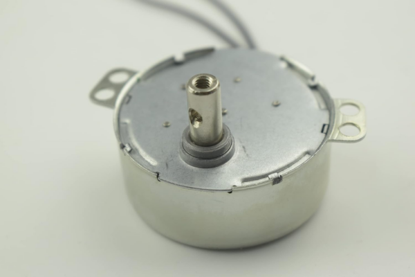 AC220V 50/60Hz 5/6RPM 4.5W Synchronous Motor