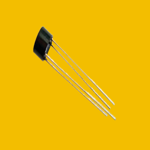 Diodes and Bridge Rectifiers (DIP)